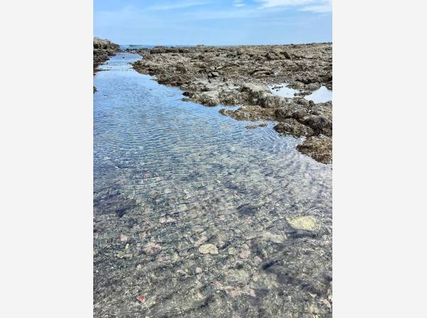 そっと触れたくなるほどの透明な水辺に心まで潤う