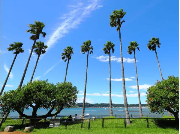 リゾートを感じる逗子マリーナまで徒歩１０分(約800ｍ)