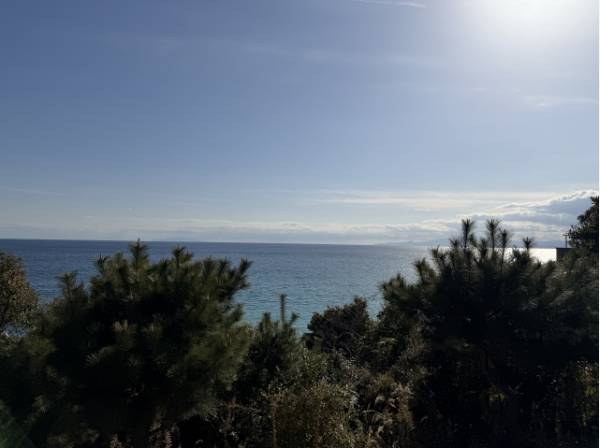 オーシャンビューの現地です。