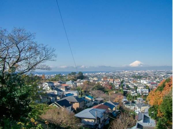 現地から少し歩くと、富士山を望む眺望がございます