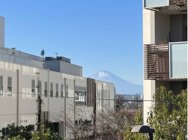 空気の澄んだ日には富士山がちらっと顔を出します