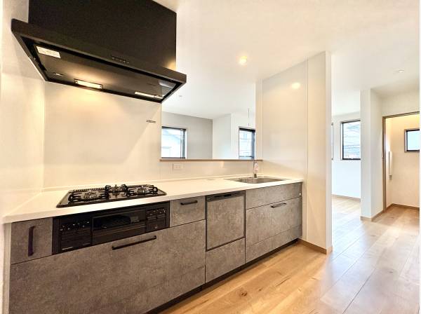 食洗機と浄水器付きのシステムキッチン