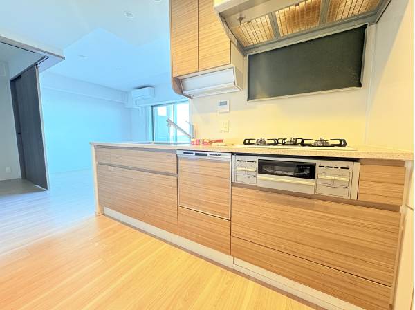 食洗器、ディスポーザーも付いてます。