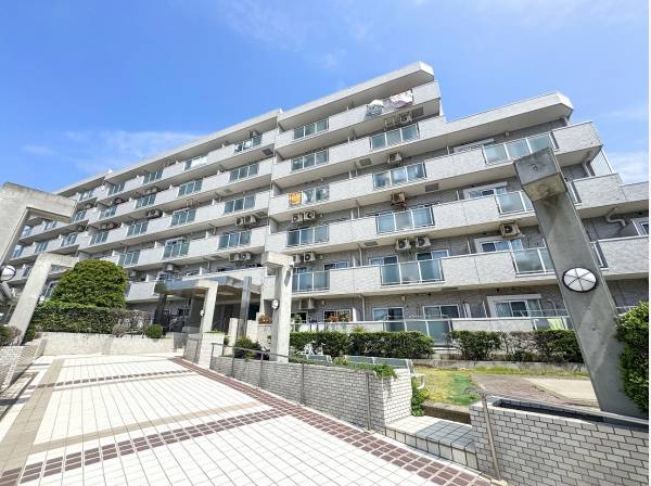 綺麗に整えられた植栽がマンションの白いタイルによく映えますね