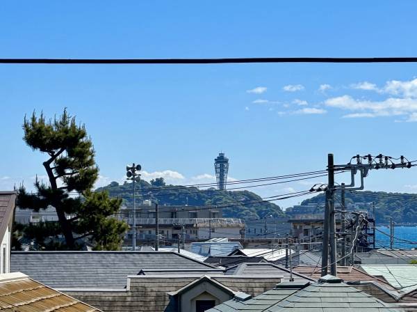 江の島も見えますよ！