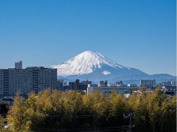 富士山を正面から望みます