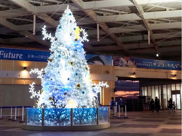 新江ノ島水族館まで徒歩2分(約160ｍ)