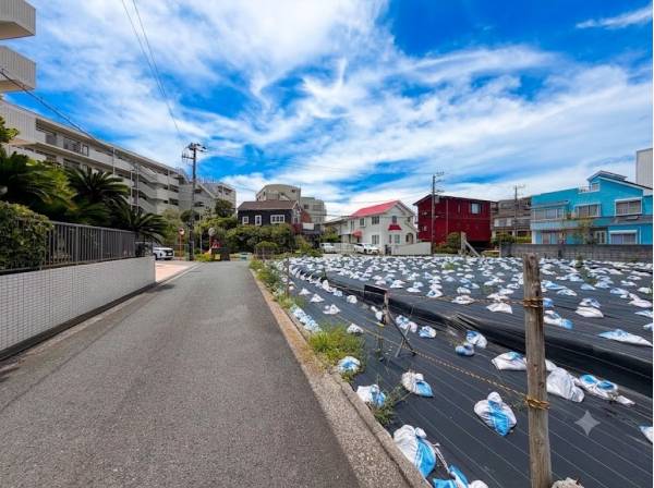 道路も広くアクセス良好です