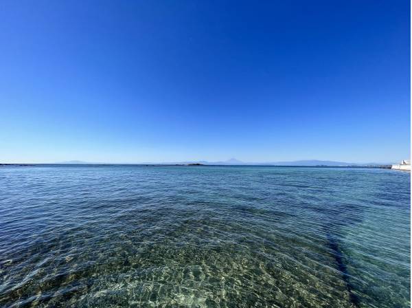 海まで徒歩1分（約20m）