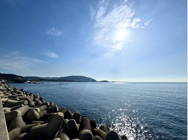 マンション目の前からはご覧の景色を楽しめます