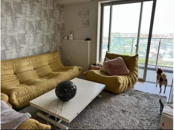 ペット飼育可能（規約制限有り）