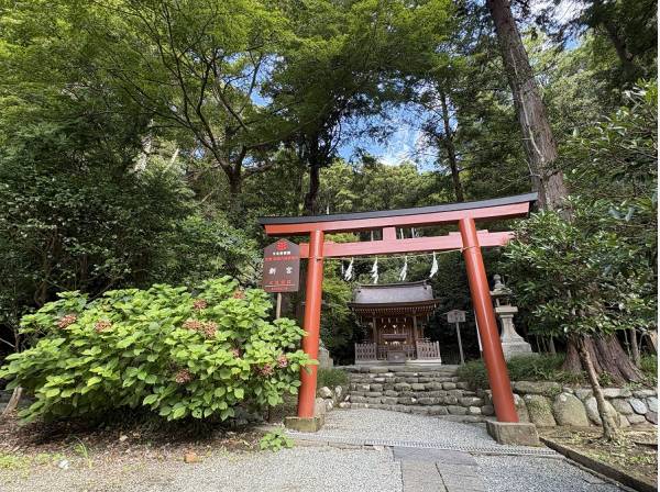 八幡宮の末社となる今宮まで歩いて１分(約30ｍ)