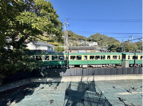 北側は江ノ電がコトコト走ります