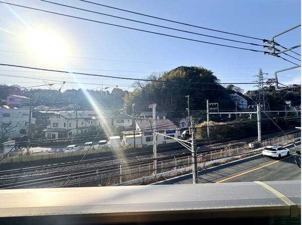 逗子の自然を感じられる眺め