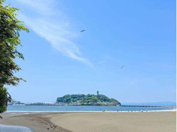 腰越海岸まで自転車で5分 (約1.4㎞)