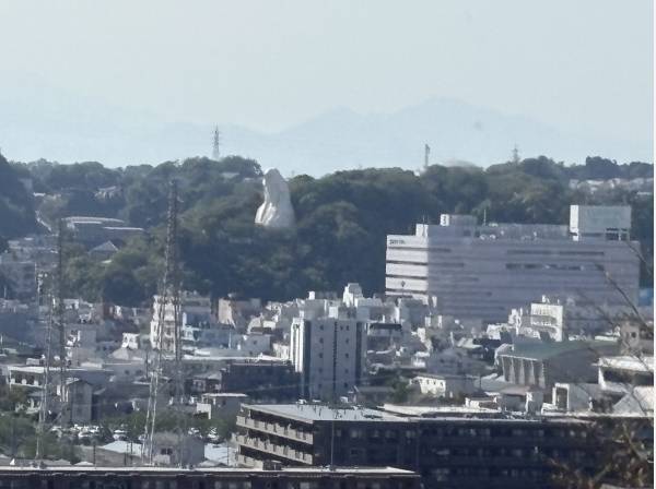 毎朝一日のお天気と観音様を眺めるルーティーンで癒されますね。