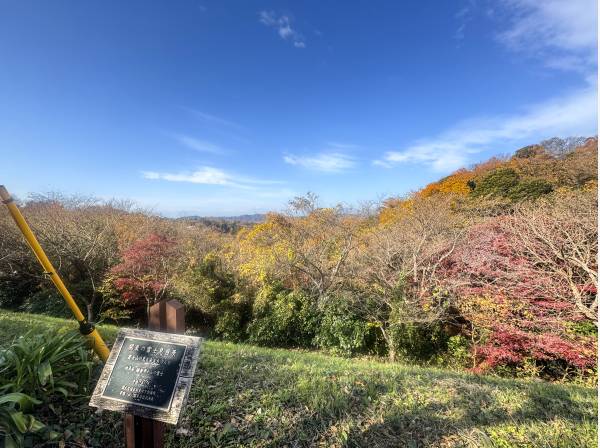 浄明寺緑地まで徒歩5分（約350m）