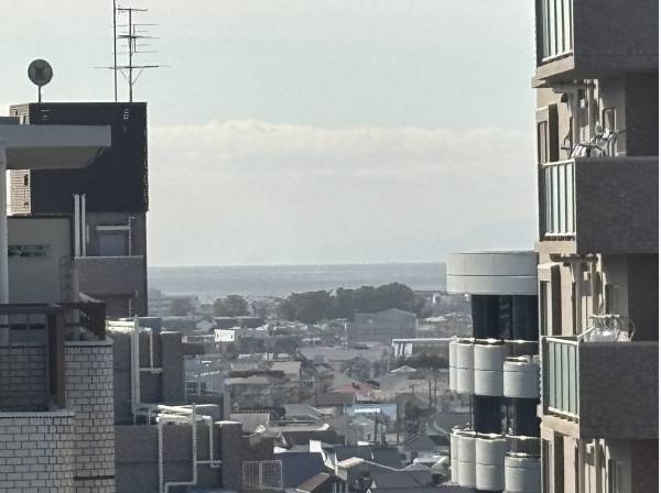 海も遠望できます！