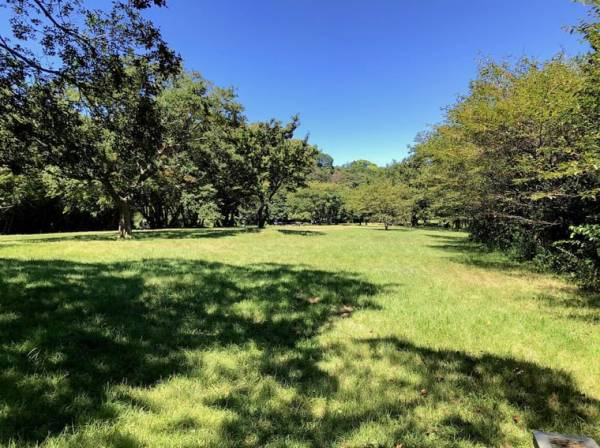 池子の森自然公園　　約1000ｍ　（徒歩13分）