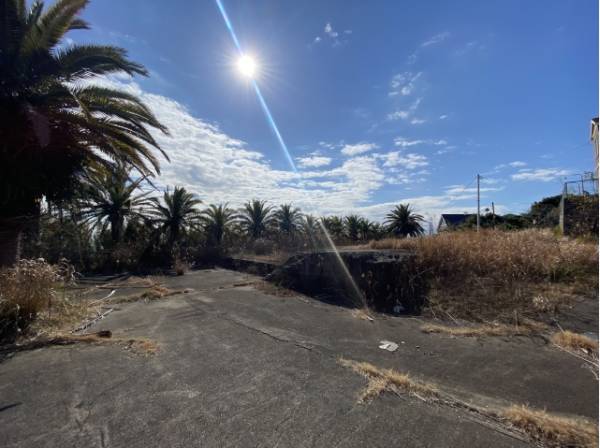 太陽の日差しがサンサンの現地です。
