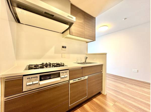 食洗機と浄水器付きです。