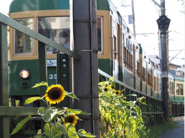 暮らしの中に江ノ電があります。（イメージです）