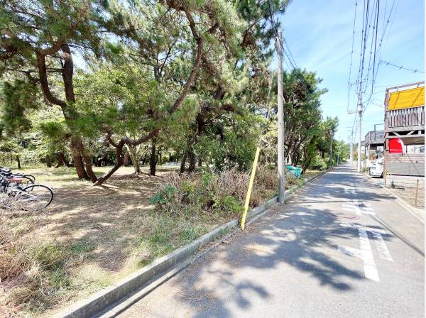 物件正面には心地良い公園ビューが広がっています。