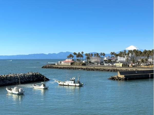 海と富士山を一望する開放感ある眺望が広がります。