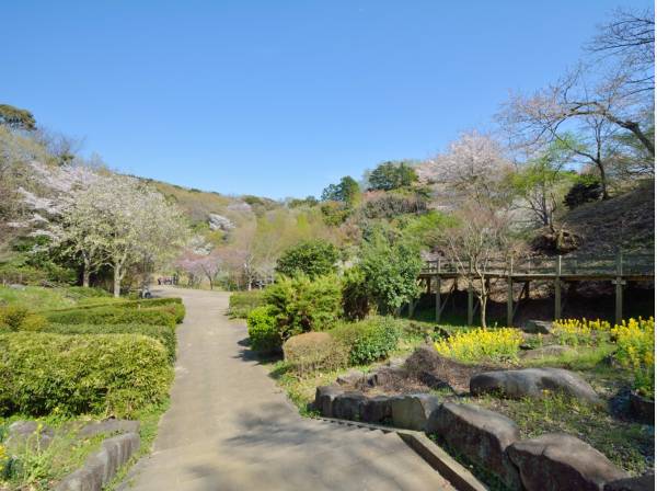 四季の移ろいを感じる「鎌倉中央公園」まで歩いて４分(約300ｍ)