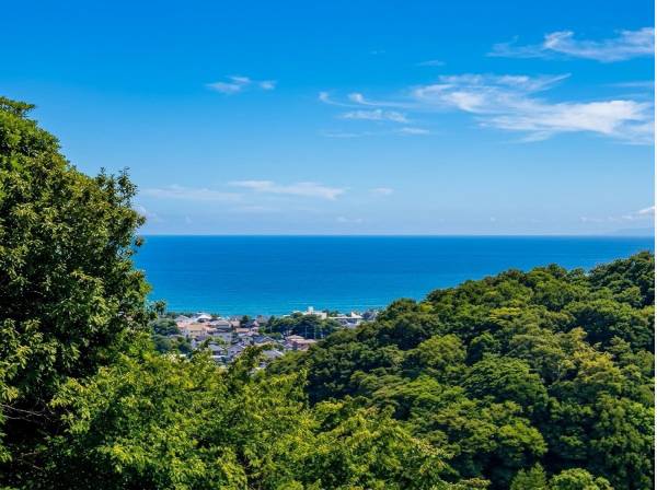 心安らぐ大磯の海に目を惹かれます。