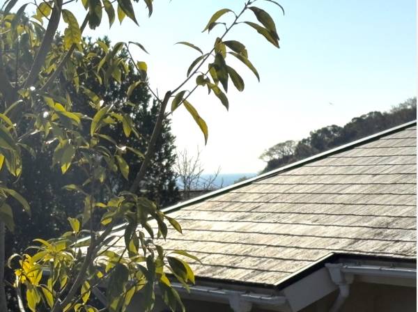 1階レベルからでもチラっと海が見えます。