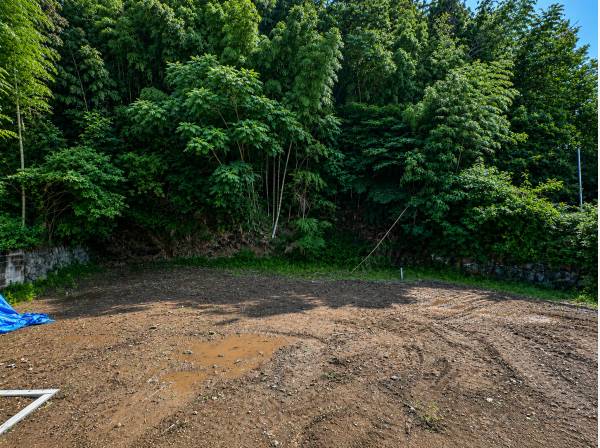 迫力あるグリーンビューが日常の景色に。自然を身近に感じる住環境です。