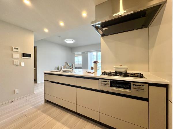 対面式システムキッチンは食洗機と浄水器付き