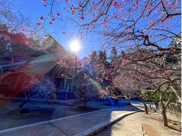 妙本寺まで約600m・徒歩8分