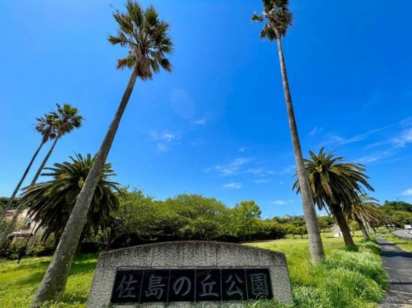 近くには佐島の丘の公園がありますよ。徒歩6分。約450mです。