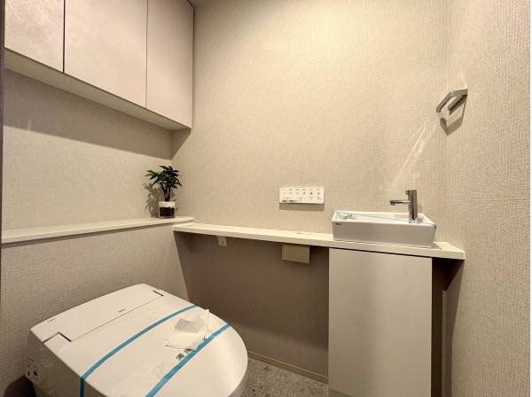 手合いカウンター付きのすっきりとしたトイレ