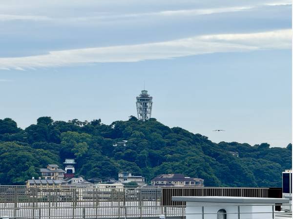 江ノ島も見えました