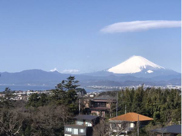 風光明媚な地、鎌倉山…現地より約10ｍより撮影

