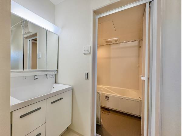 鏡の裏にはたっぷりと収納ができるスペースを装備しております。