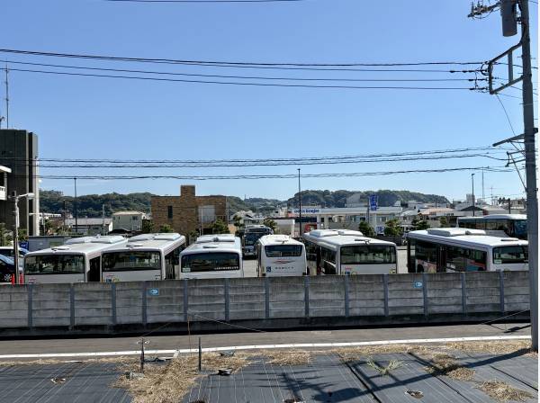 開放的な眺望の現地です。