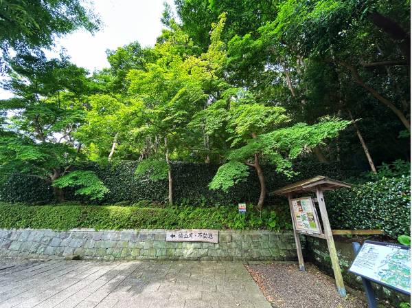 大磯城山公園の入り口を通ると、目の前は自然で広がっています！
