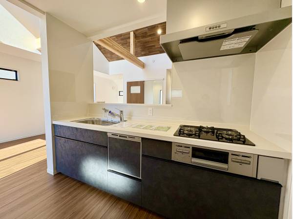 キッチンは食洗器付きのシステムキッチン