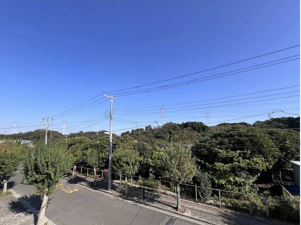 モクモクと広がる緑の絨毯は季節の移ろう姿が愉しみですね