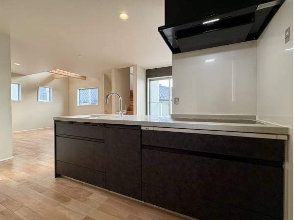 対面式システムキッチンはフロントタイプの食洗機付き