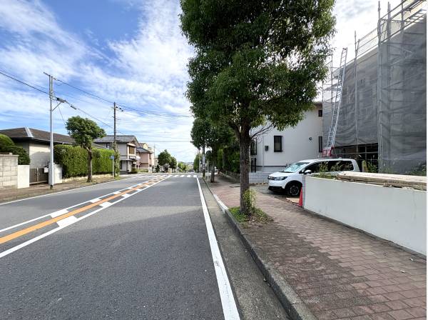 開放感のある美しい並木通り