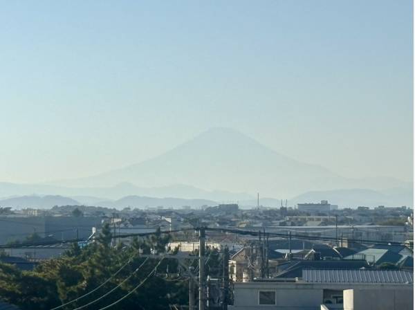 シルエットでわかる存在感