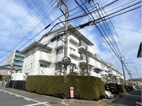 大通りから少し入った穏やかな住宅街に佇むマンション
