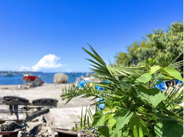 佐島のリゾート感漂うエリアをお楽しみください