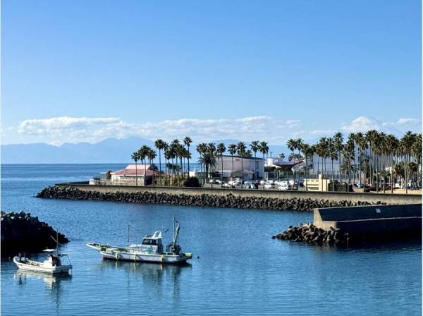 リゾート感に包まれる眺め