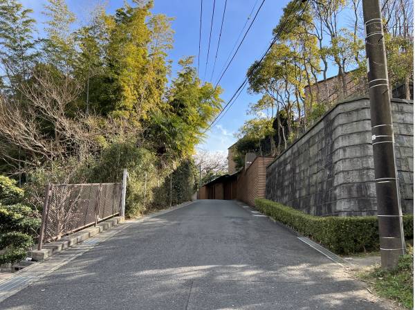 前面道路は息を飲むような自然に溢れています。